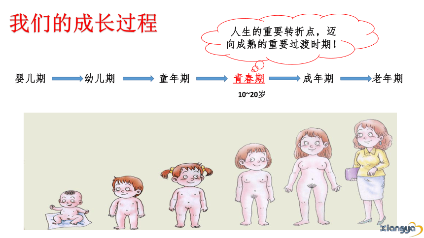 2.2 青春期第二性征发育的特点（课件） 体育与健康五年级上册  人教版 （26张ppt）