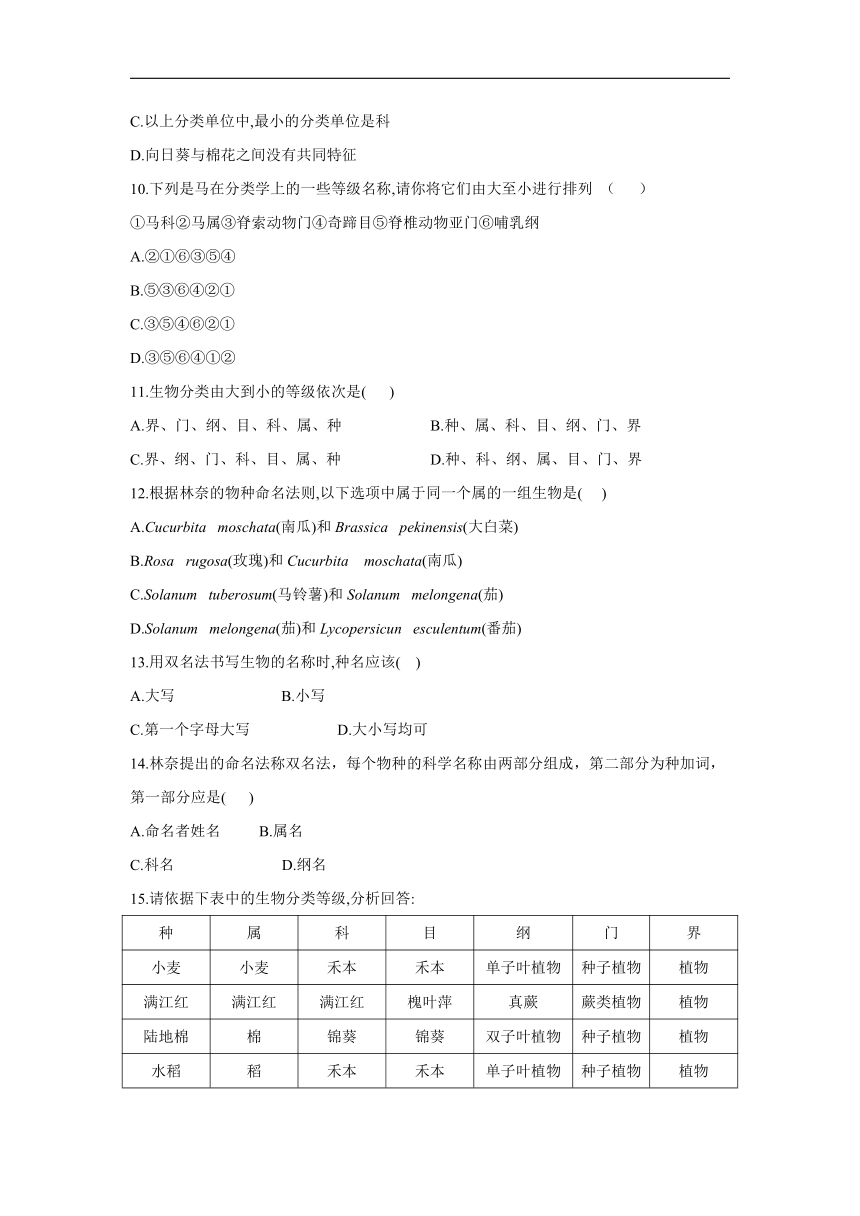 5.14.4 生物的分类 课时作业（含解析）