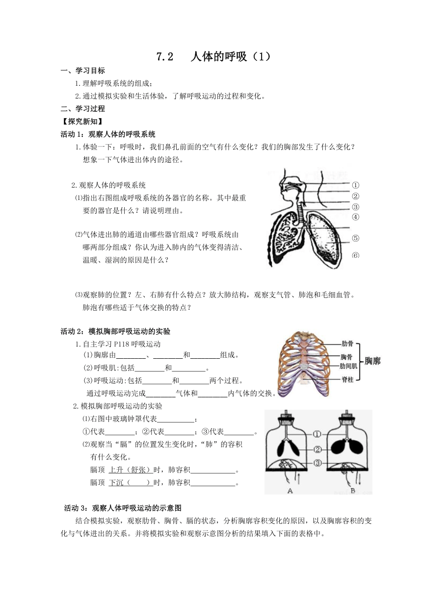 3.7.2人体的呼吸学案（含部分答案） 苏科版七年级生物上册