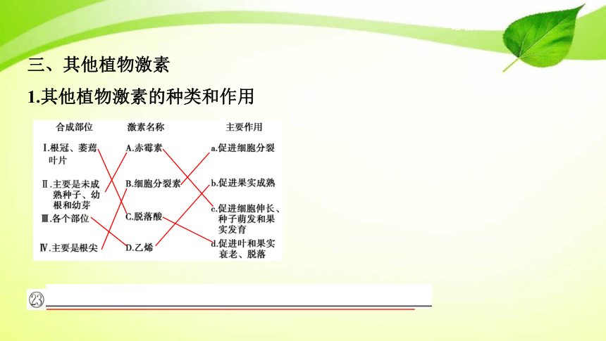 高考生物专题课件25：植物的激素调节（共78张PPT）