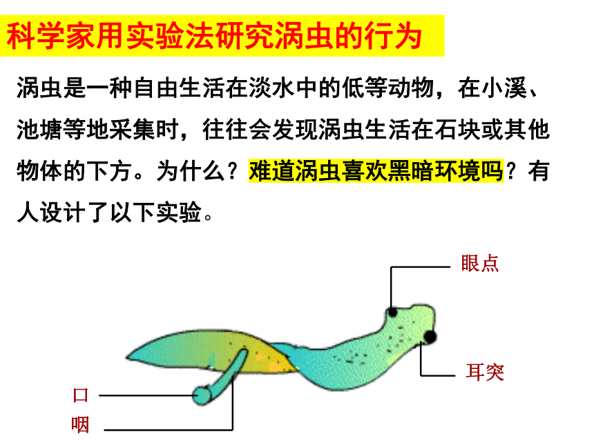 16.1+先天性行为和后天学习行为-2022-2023学年八年级生物上册同步备课优质课件(共22张PPT)