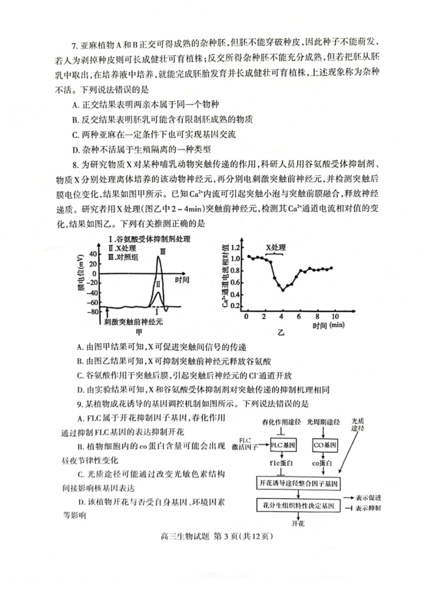 2023届山东省泰安市高三下学期二轮检测（二模）生物试题（pdf版含答案）