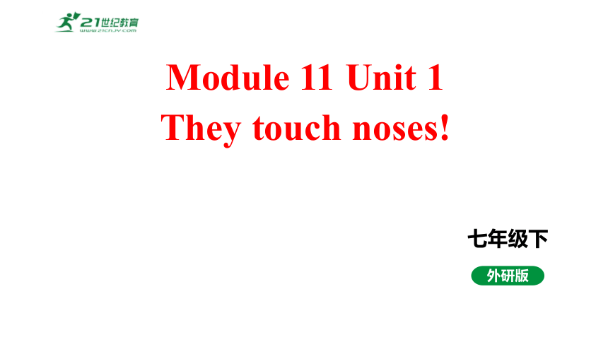 Module 11 Body language Unit 1  They touch noses! 课件+音视频（外研版英语七年级下册）