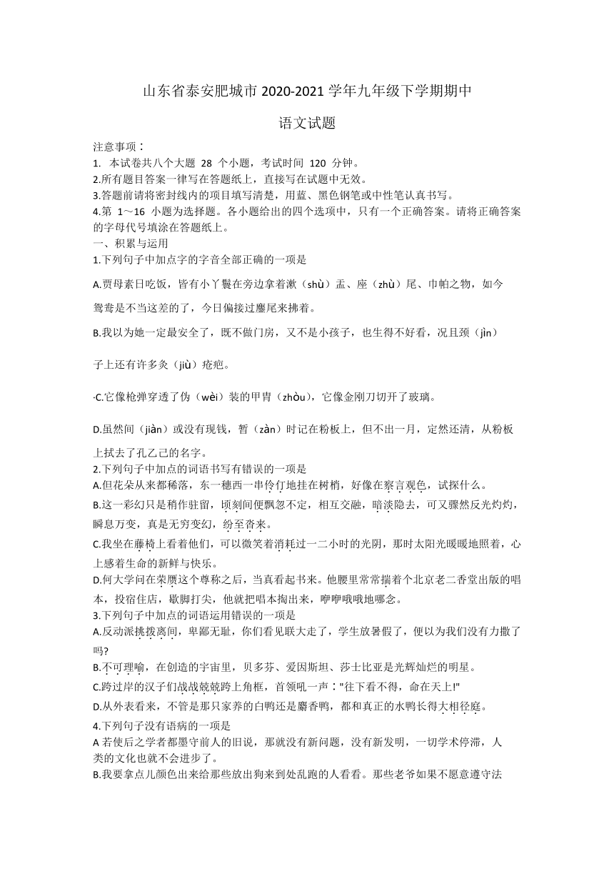 山东省泰安肥城市2020—2021学年九年级下学期期中考试语文试题（word版含答案）