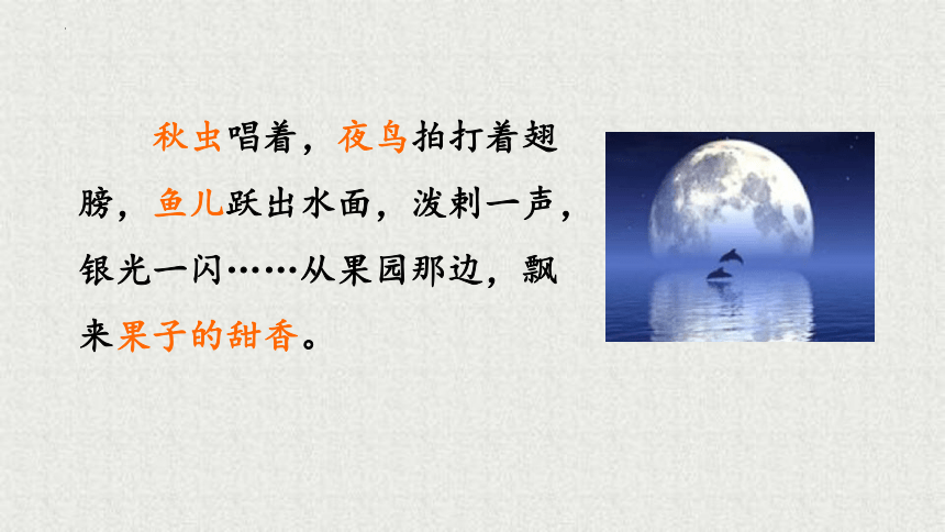 2《走月亮》 课件 (共24张PPT)