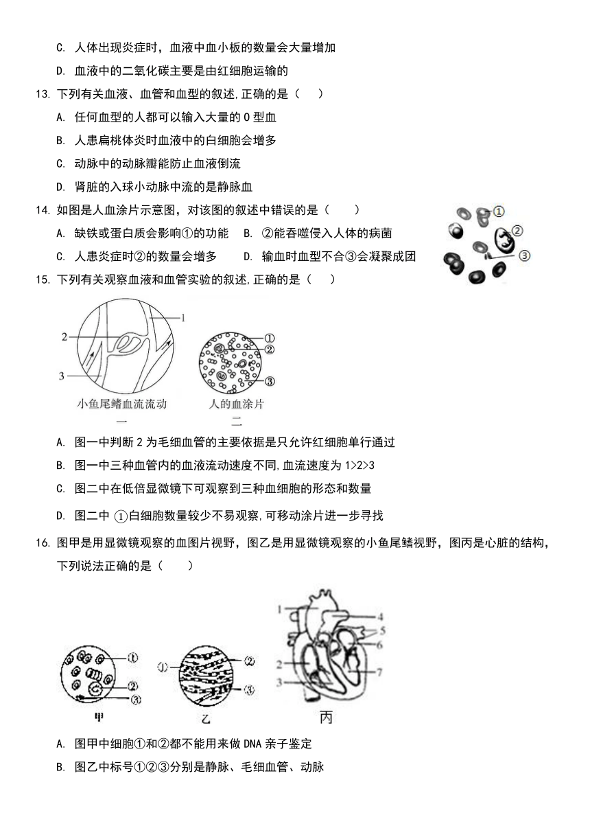 七年级上册生物期末测试题一（无答案）