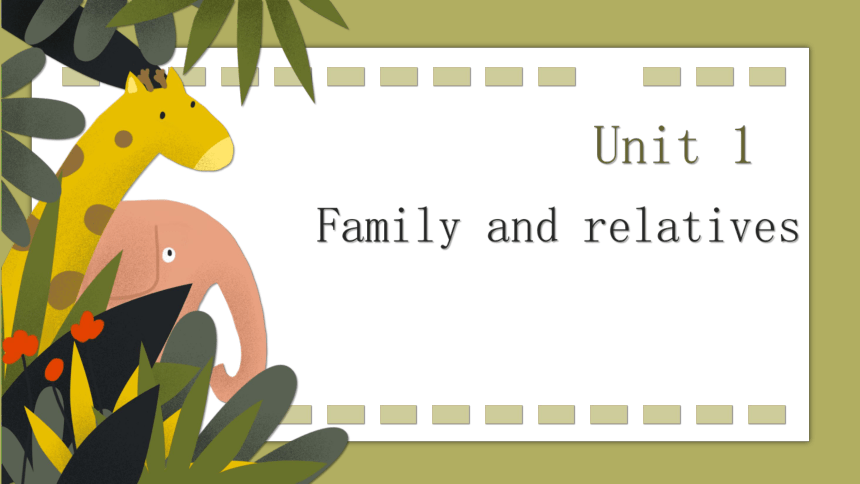 Unit 1 Family and relatives 词句归纳课件(共19张PPT)