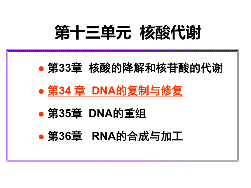 2020-2021学年高中生物竞赛DNA的复制和修复课件(80PPT)