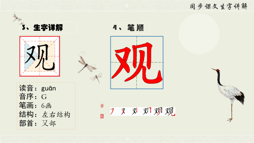 12 坐井观天  生字讲解+书法指导 课件（41张）