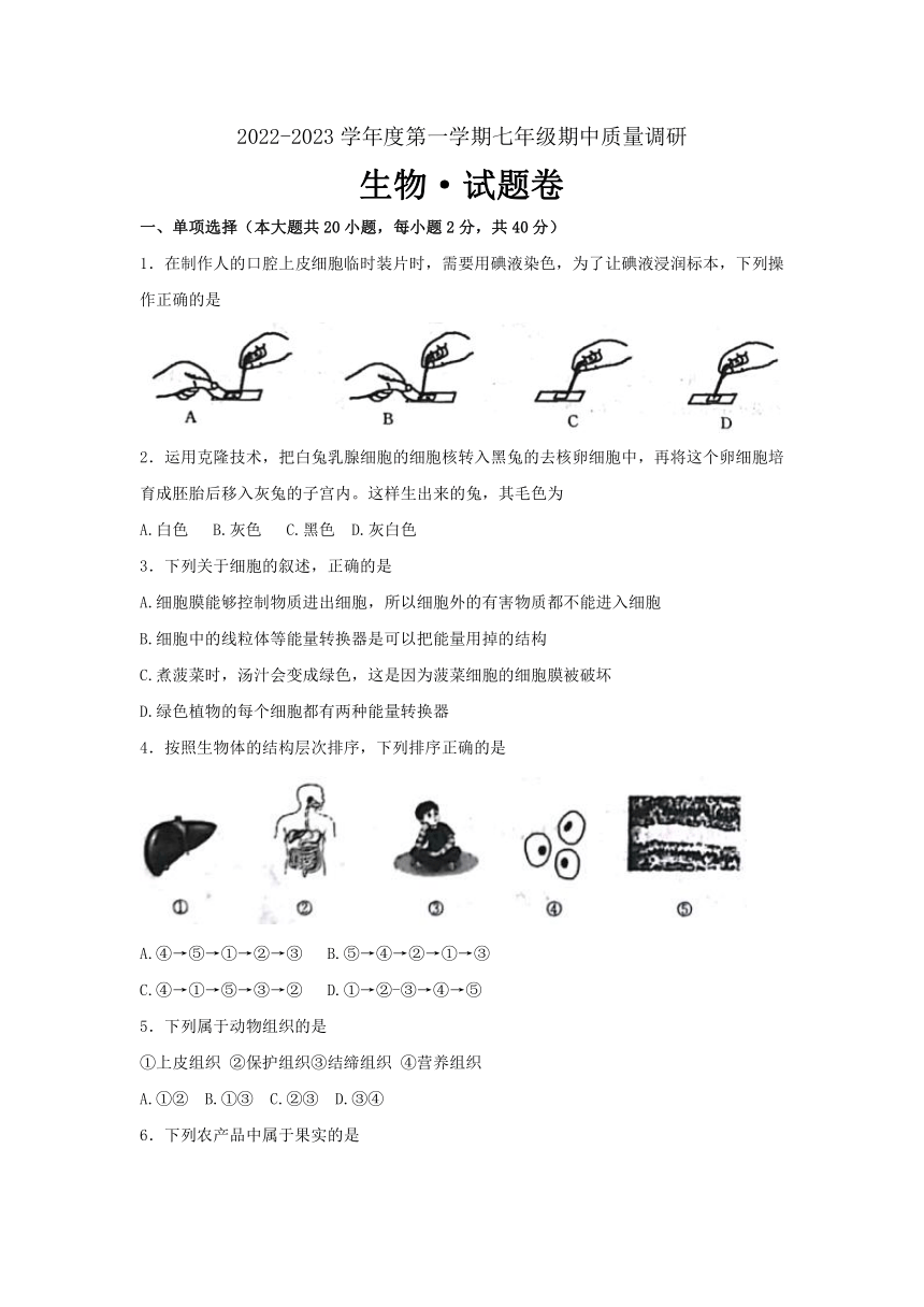 安徽省寿县2022-2023学年度第一学期七年级期中质量调研生物试题卷（含答案）