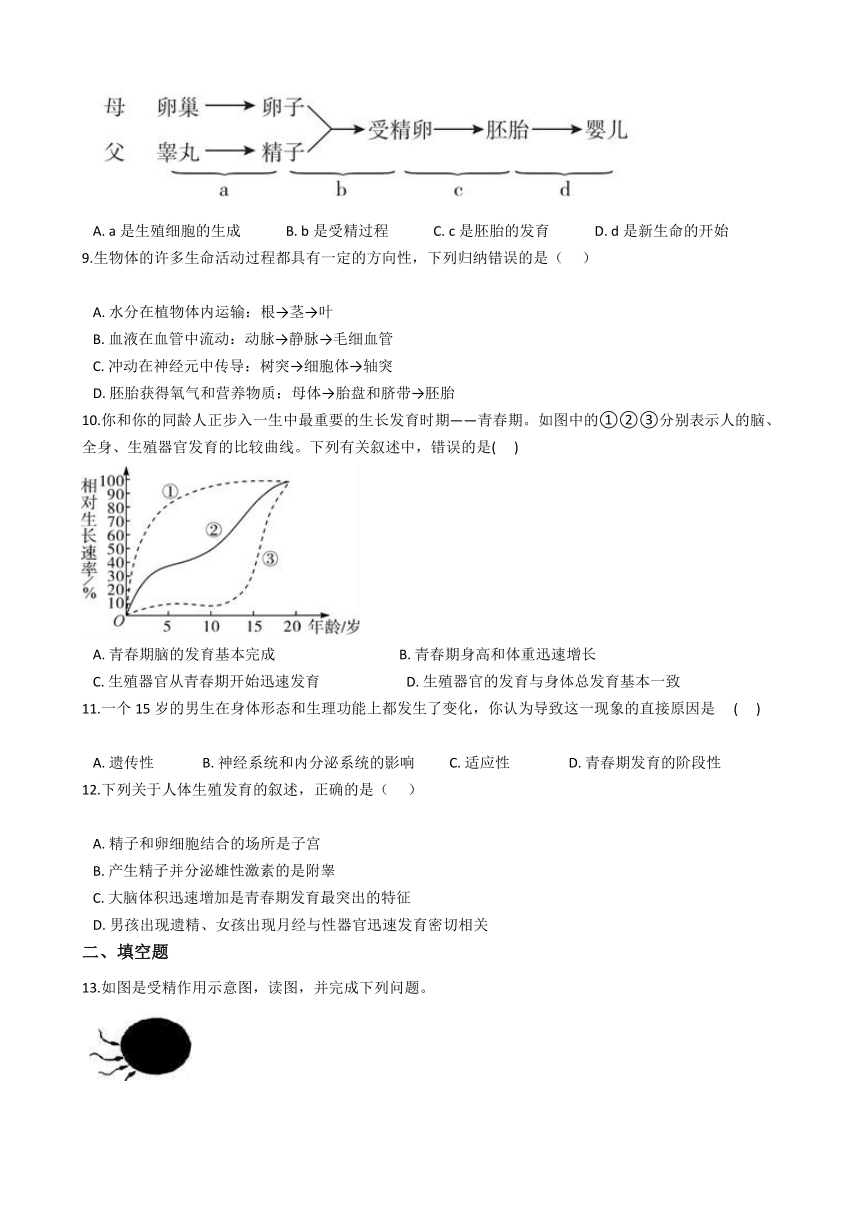 6.2 人的生殖与发育 同步练习 (含答案）