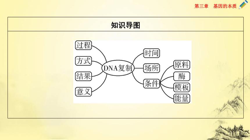 【课件版同步学案】人教版（2019）必修二 3.3 DNA的复制(共54张PPT)