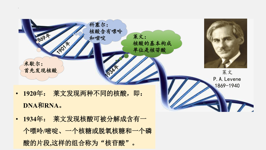 2021-2022学年高一生物浙科版（2019）必修2 第三章第二节遗传信息编码在DNA分子上（课件）（25张ppt）