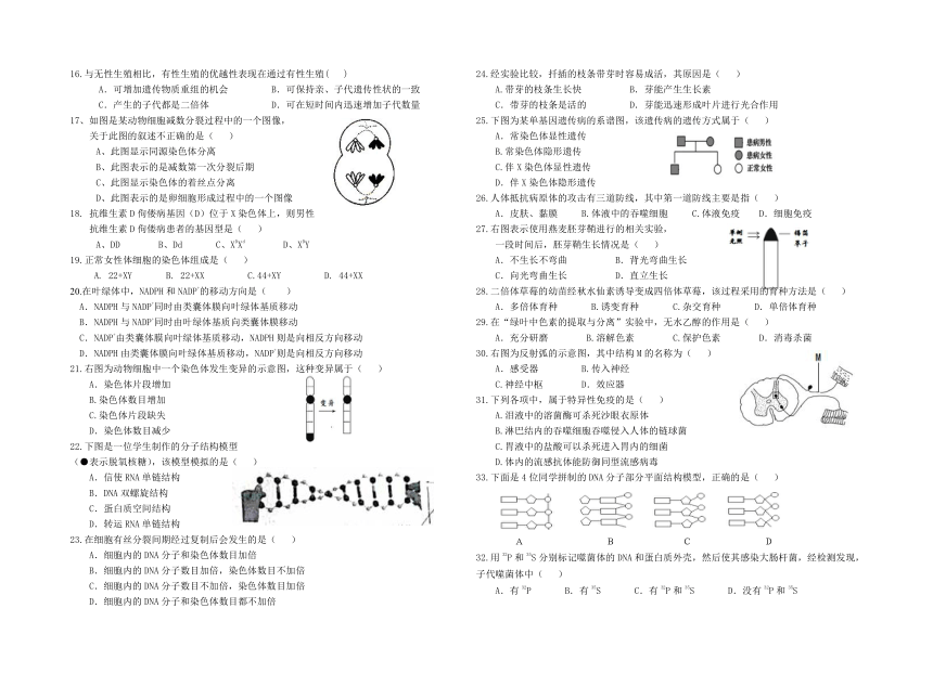 上海市2021-2022学年高一上学期《生命科学》合格考开学模拟检测试题4 Word版含答案