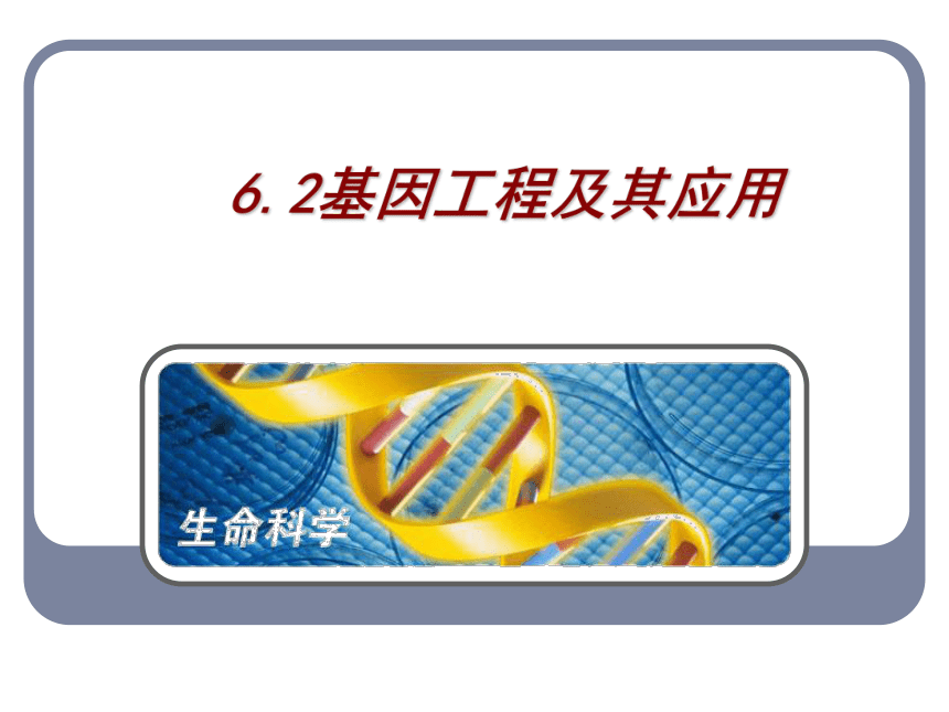 2020-2021学年高一下学期生物人教版必修二6.2基因工程及其应用课件(60张)