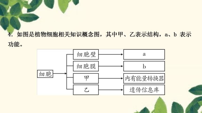 人教版生物七年级上册 期末复习专题(二)　第二单元生物体的结构层次 习题课件 (共22张PPT)