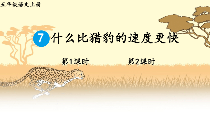 7 什么比猎豹的速度更快课件（27张PPT)