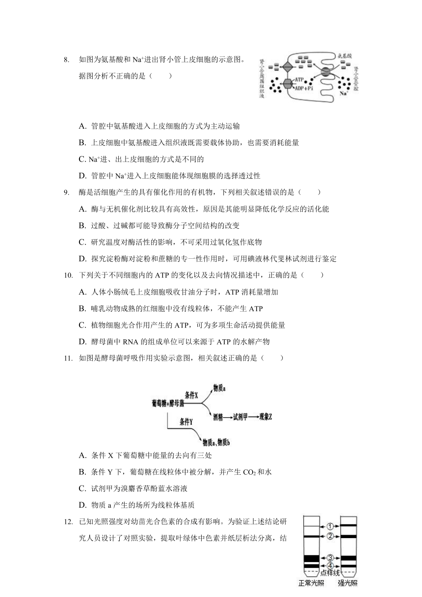 辽宁省大连市普兰店区第一中学2021-2022学年高一12月模拟考试生物试卷（Word版含解析）