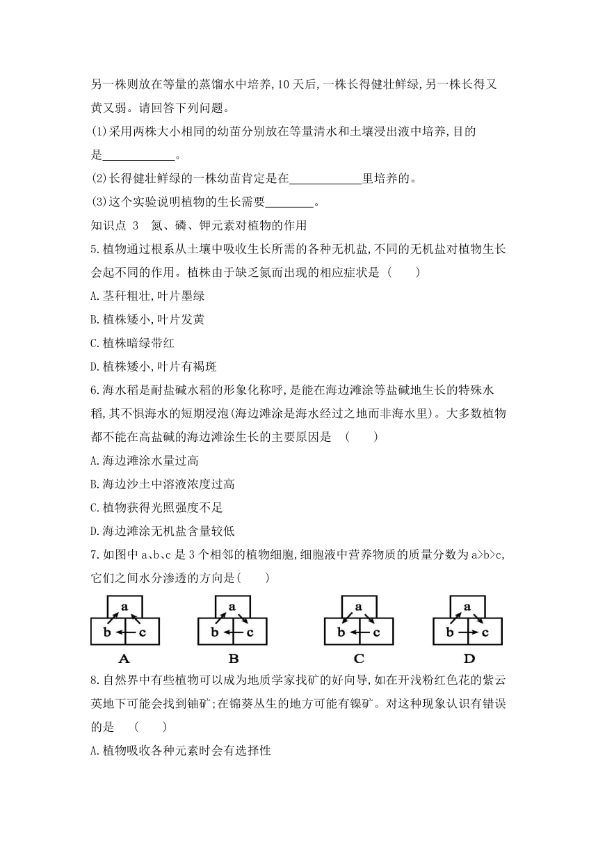 浙教版八年级科学下册同步课时练习：4.3 植物的根与物质吸收  第2课时（含答案）