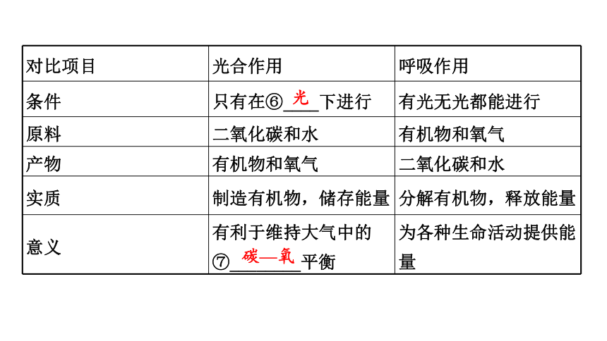 3.4  植物的光合作用、呼吸作用与植物在生物圈中的作用复习课件(共59张PPT)