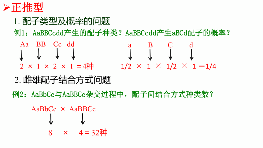 1.2孟德尔的豌豆杂交实验（二）-2020-2021学年高一生物人教版（2019）必修2课件（40张ppt）