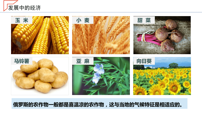 8.3.2 《俄罗斯》 课件（共28页PPT）2022-2023学年七年级地理下册同步-湘教版