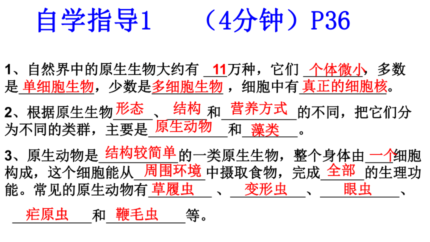 7.22.2原生生物的主要类型课件(共21张PPT)2022-2023学年北师大版生物八年级下册