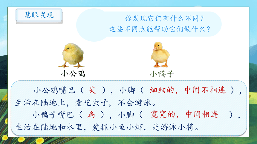 【核心素养】部编版语文一年级下册-4. 小公鸡和小鸭子 第2课时（课件）