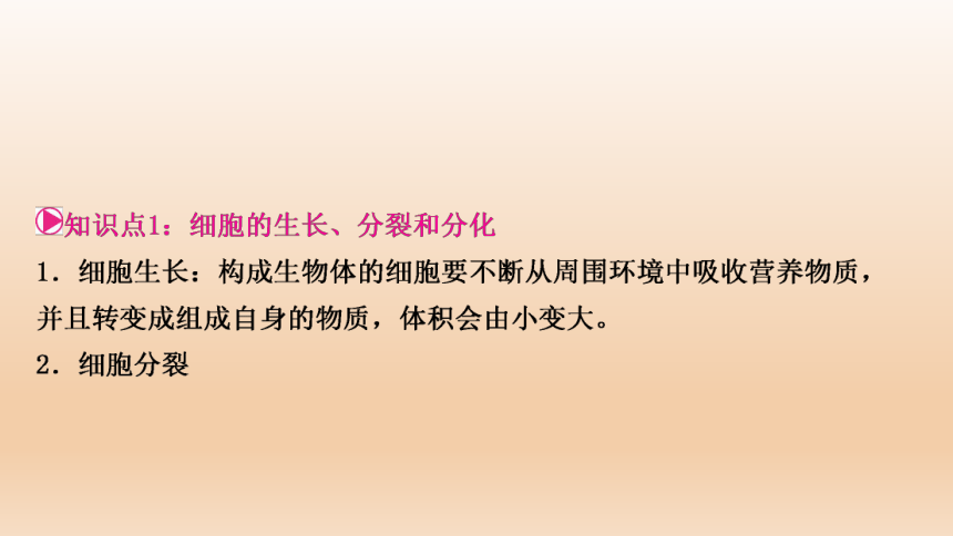 2023年人教版七年级生物上册复习专题★★第二章　细胞怎样构成生物体(共44张PPT)