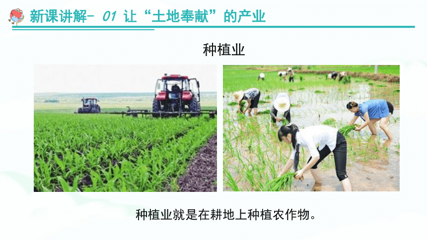 【推荐】湘教版八上地理《4.1农业》 教学课件（共55张PPT）