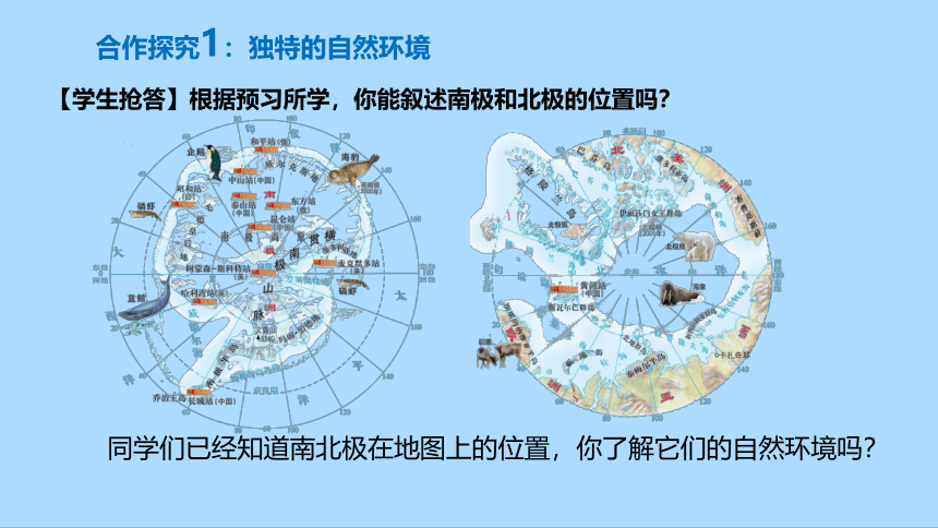 人教版地理七年级下册10.极地地区课件(共31张PPT)