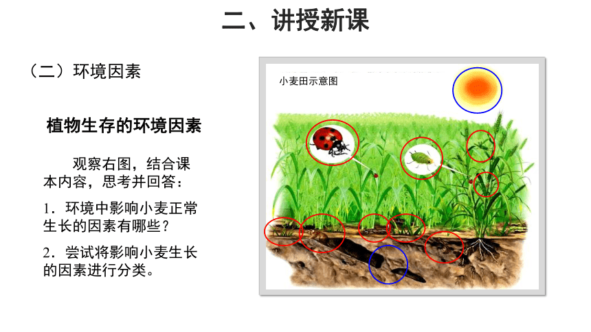 苏科版七年级上册2.2.2环境影响生物的生存 课件(共17张PPT)