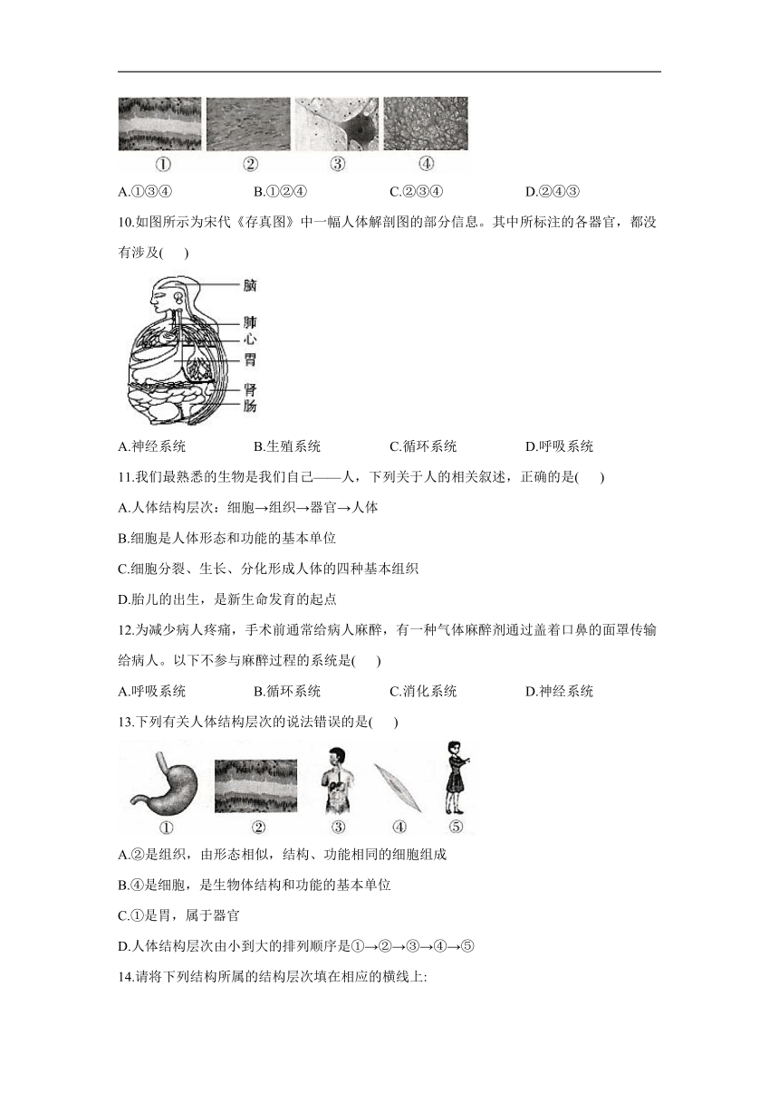 2.2.2动物体的结构层次—2021-2022学年生物人教版七年级上册同步作业（word版 含解析）