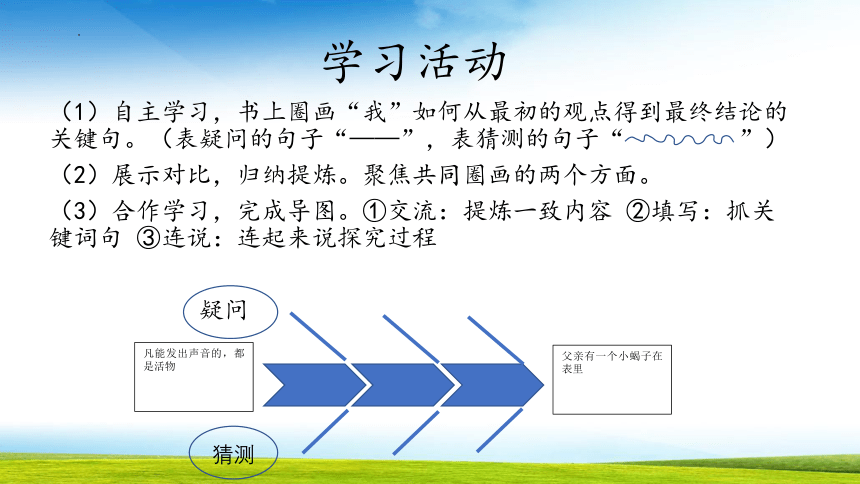 第16课《表里的生物》课件(共18张PPT)