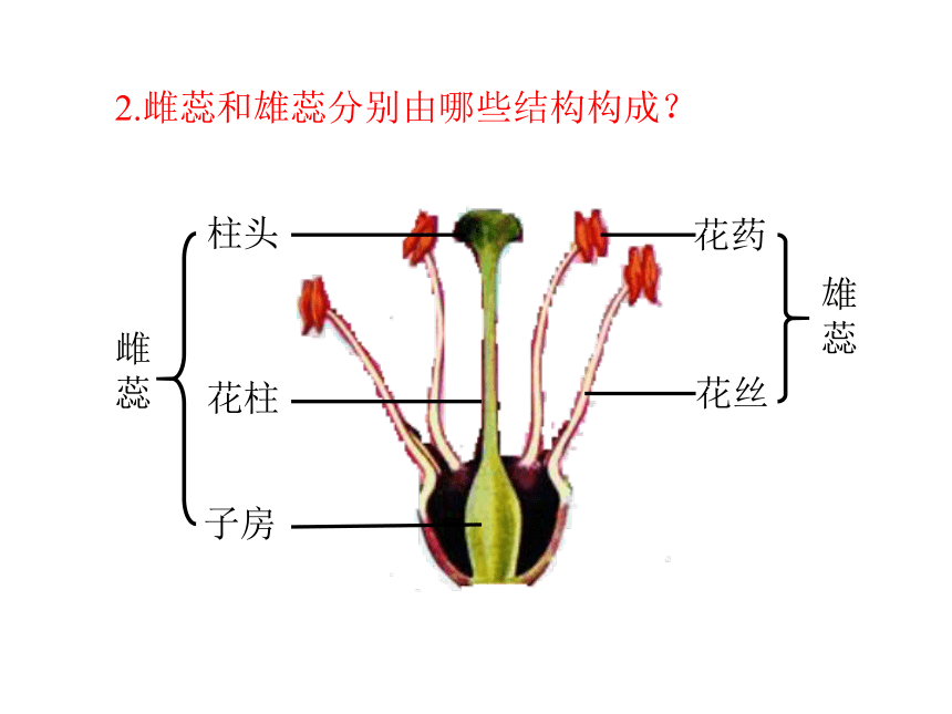 第一章 绿色开花植物的一生  第一节 花的结构和类型  课件（26张PPT）
