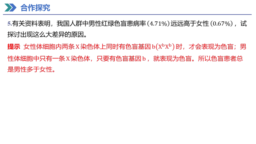 2.3 伴性遗传 课件(共40张PPT) 2023-2024学年高一生物人教版（2019）必修第二册