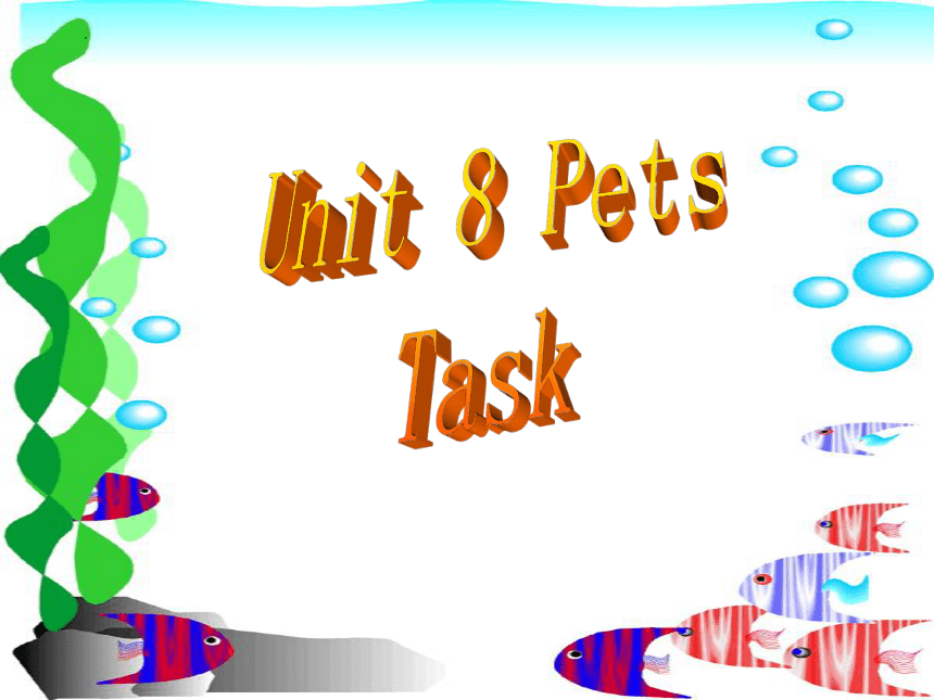 牛津译林版七年级英语下册 Unit 8 Pets Task 课件(共35张PPT)