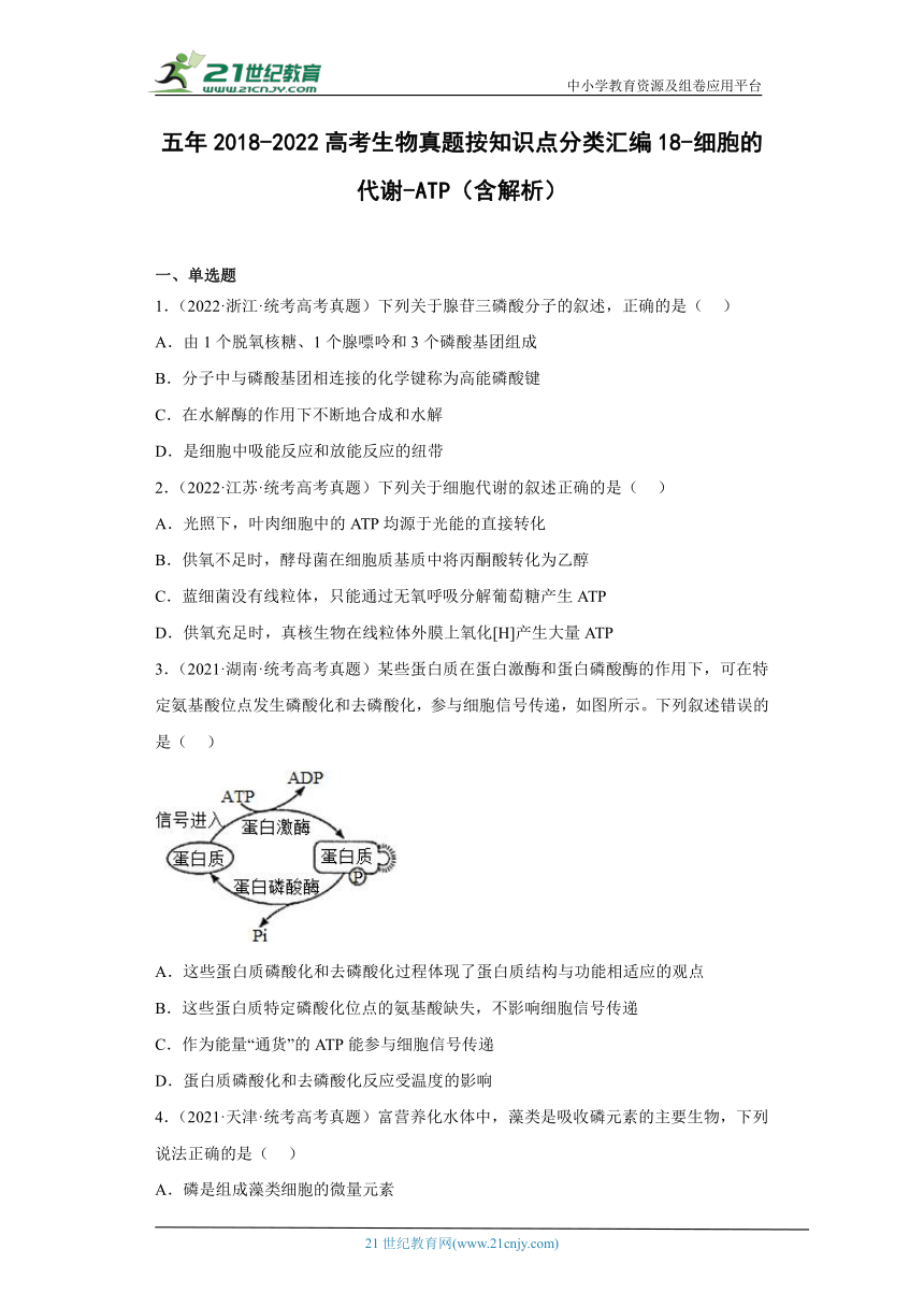 五年2018-2022高考生物真题按知识点分类汇编18-细胞的代谢-ATP（含解析）