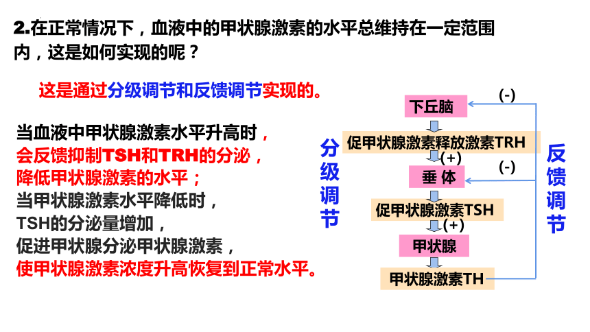 3.2激素调节的过程课件(共38张PPT)-人教版选修1