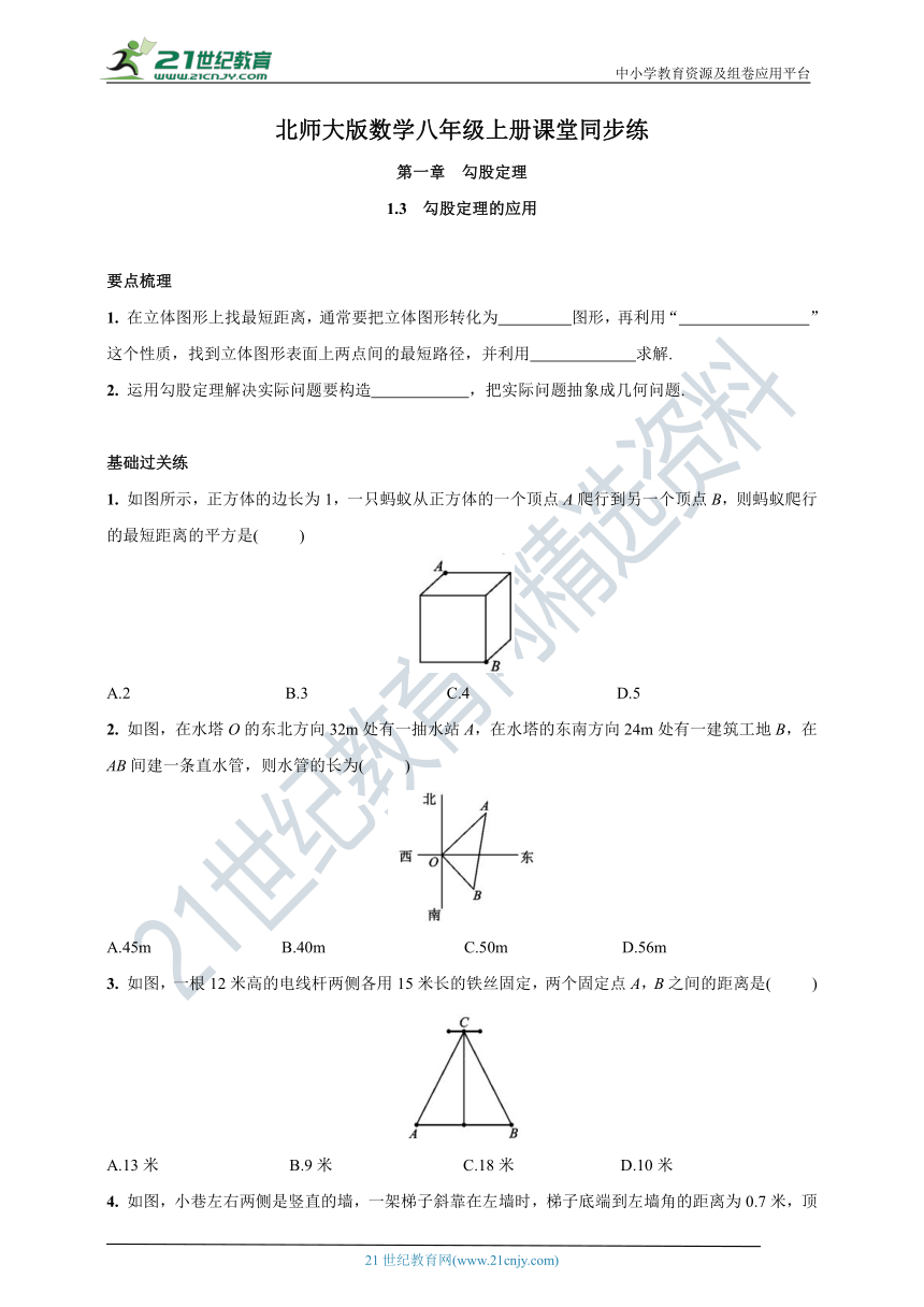 1.3 勾股定理的应用 北师大版数学八年级上册课堂同步练(要点梳理＋基础过关练＋强化提升练＋延伸拓展练＋答案)