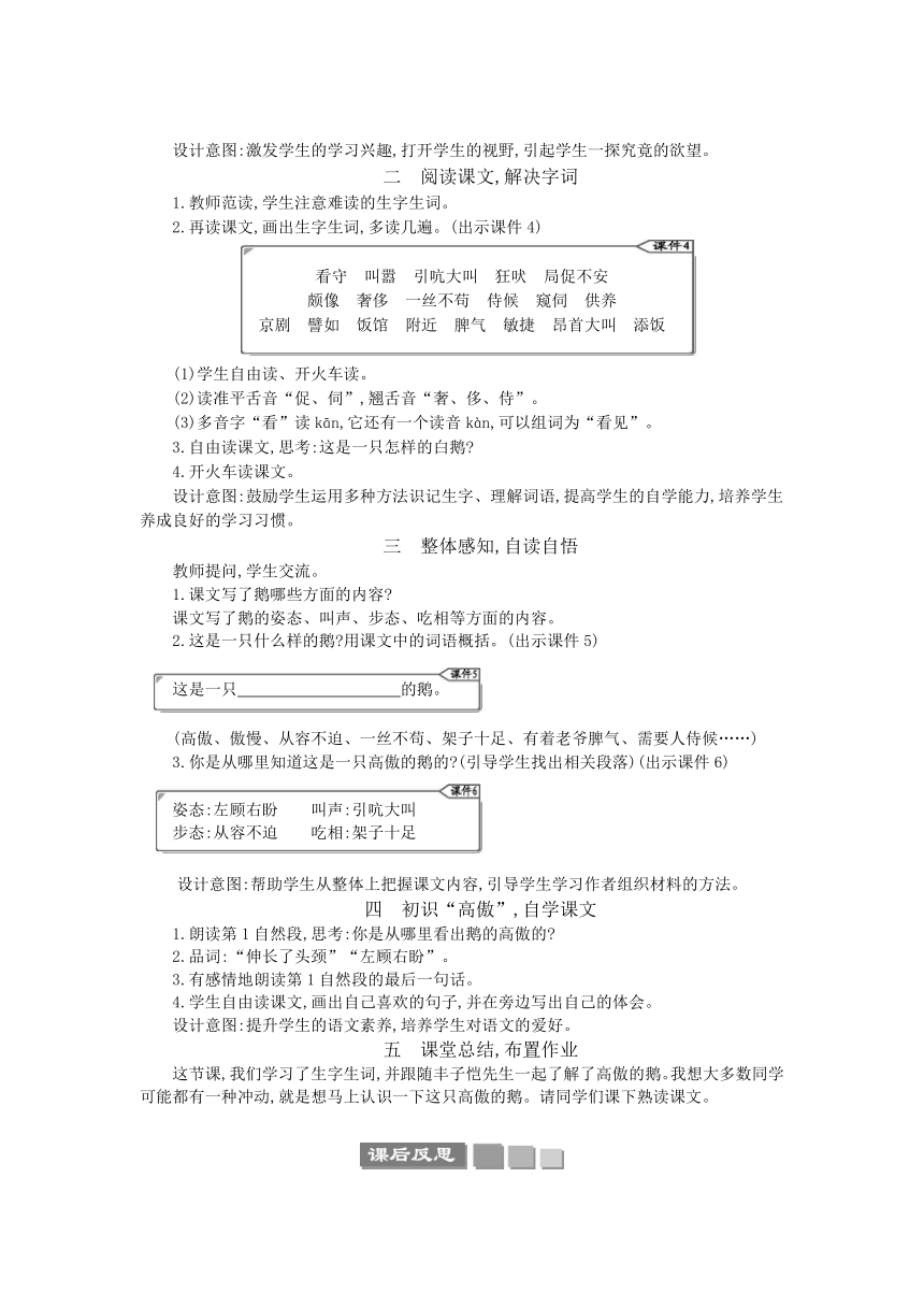 15 白鹅 教案（2课时）