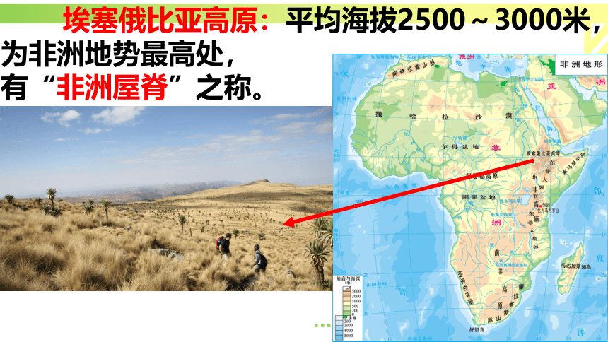 8.3 撒哈拉以南非洲 课件(共113张PPT)2022-2023学年人教版七年级地理下册