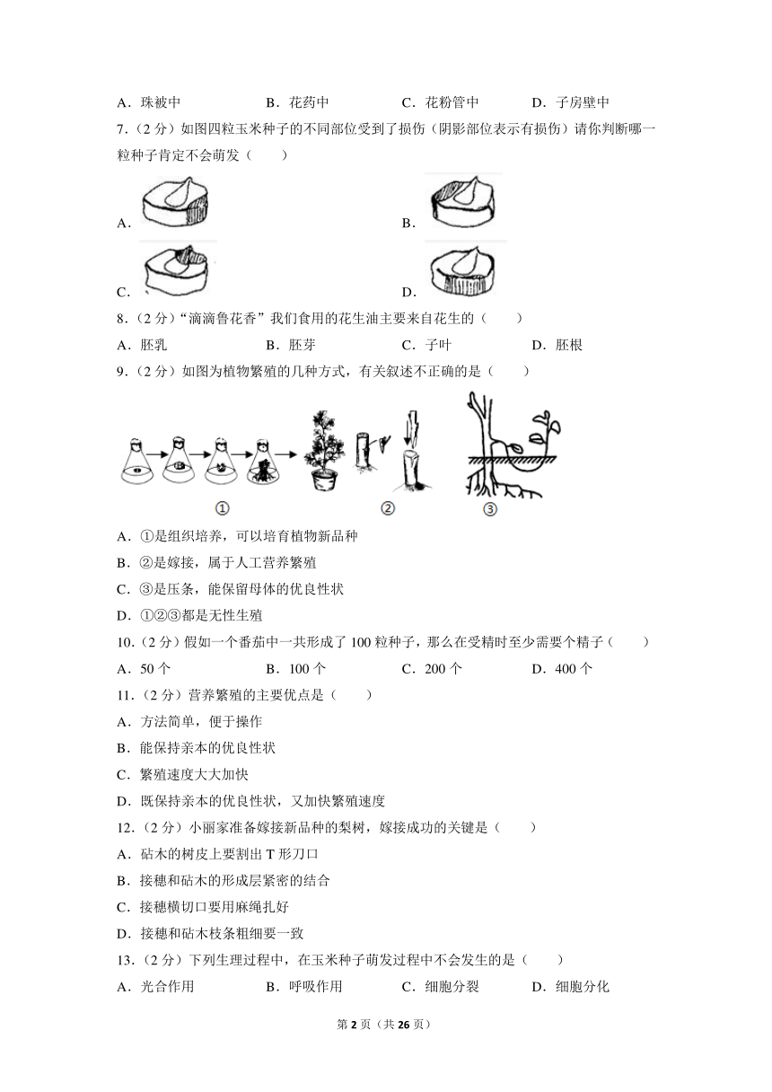 山东省滨州市集团校联考2021-2022学年八年级上学期第一次检测生物试题（word版含解析）