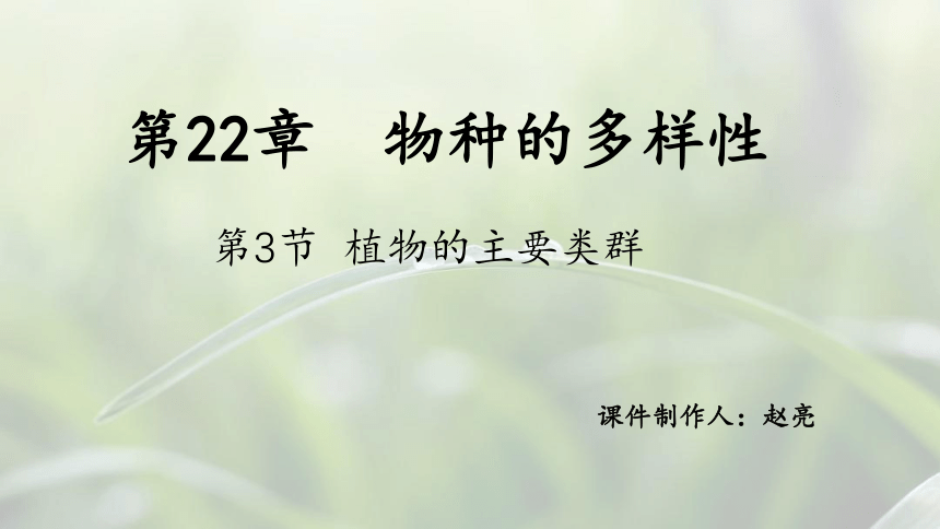 第七单元第22章 第3节 植物的主要类群（第2课时）（共17张PPT）课件-2022-2023学年北师大版生物八年级下册