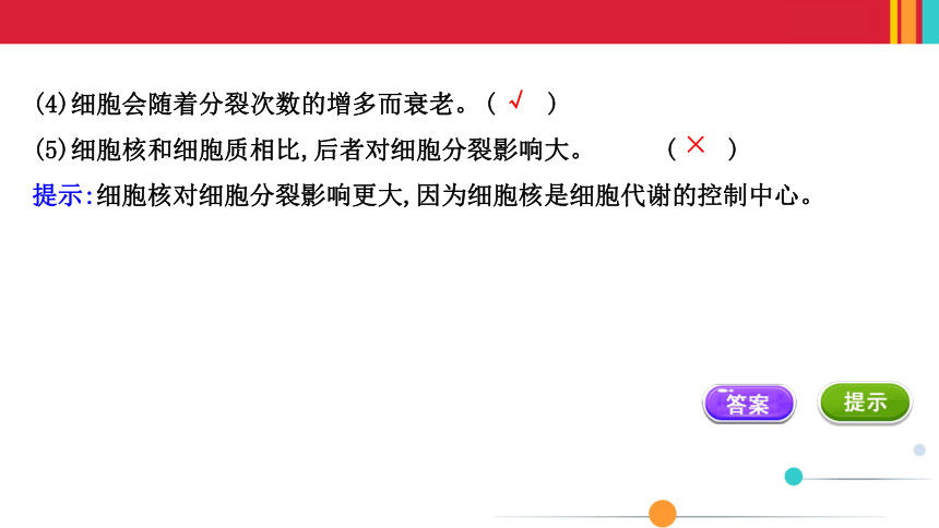 （新人教）生物必修一课件：6.3细胞的衰老和死亡(共35张PPT)