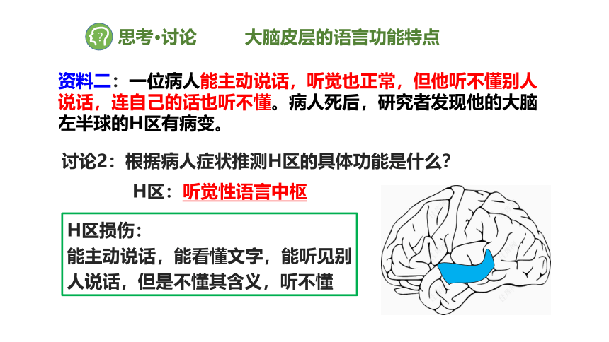 生物人教版（2019）选择性必修1 2.5人脑的高级功能课件2021-2022学年高二上学期（共32张PPT）