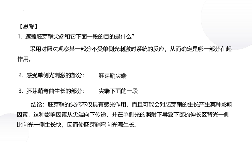 4.1+植物生长素（课件）-2022-2023学年高二生物同步精品课堂（苏教版2019选择性必修1）(共38张PPT)