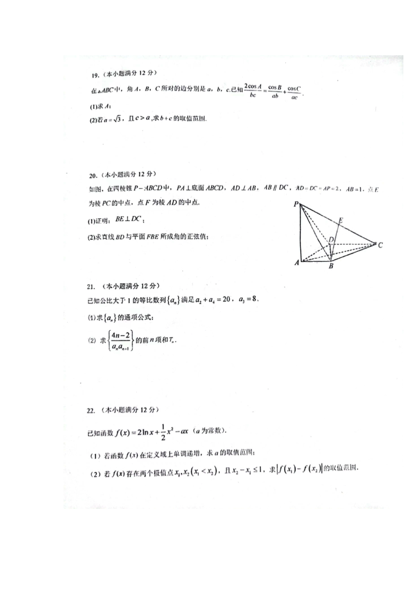 广东省深圳实验学校光明部2022-2023学年高三上学期期中考试数学试卷（PDF版含答案）