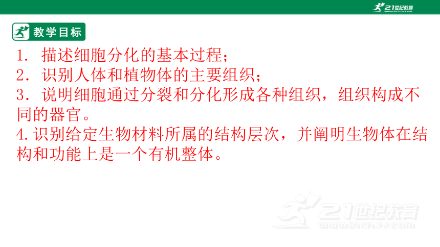 2022-2023学年七年级生物上册2.2.2 动物体的结构层次-同步课件(共28张PPT)