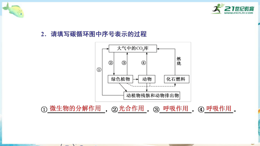 高三生物三轮复习专项突破13  生态系统的结构与功能（共29张PPT）